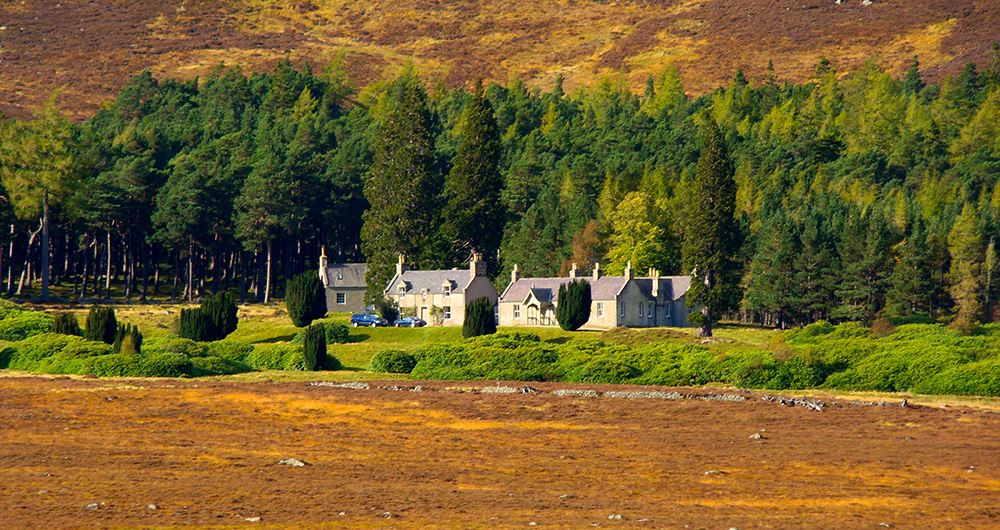 scotland estate