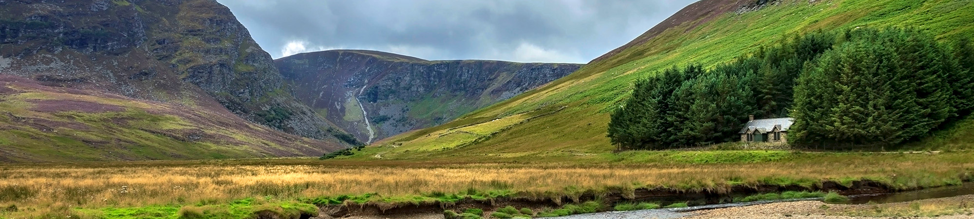 Scotland property search