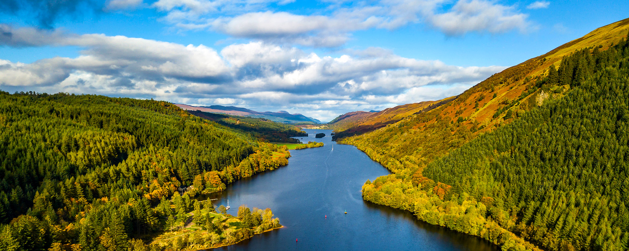 scotland buying agent