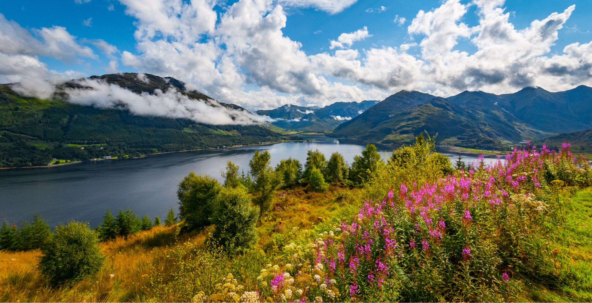 Moving to Scotland from America