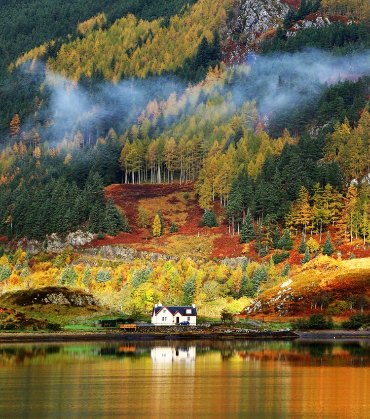 Autumn colour in the Highland, Scotland