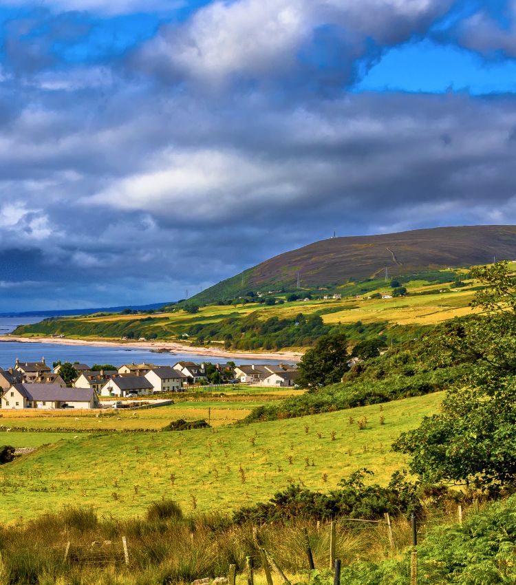 Scotland Buying Agents