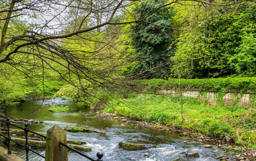 Water of Leith, Edinburgh, Scotland