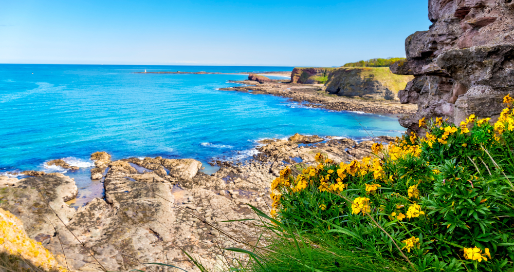 North Berwick Coast