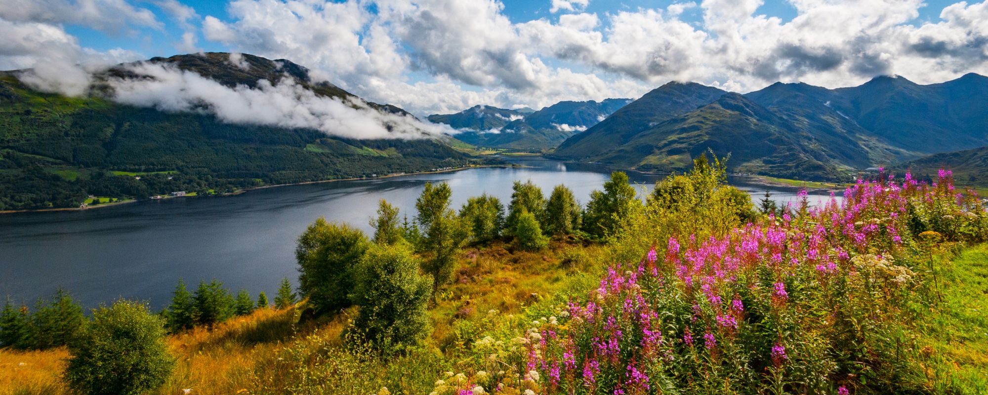 Property in the Highlands and Islands