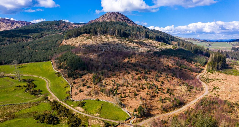 Transport and connectivity in Dumfries and Galloway