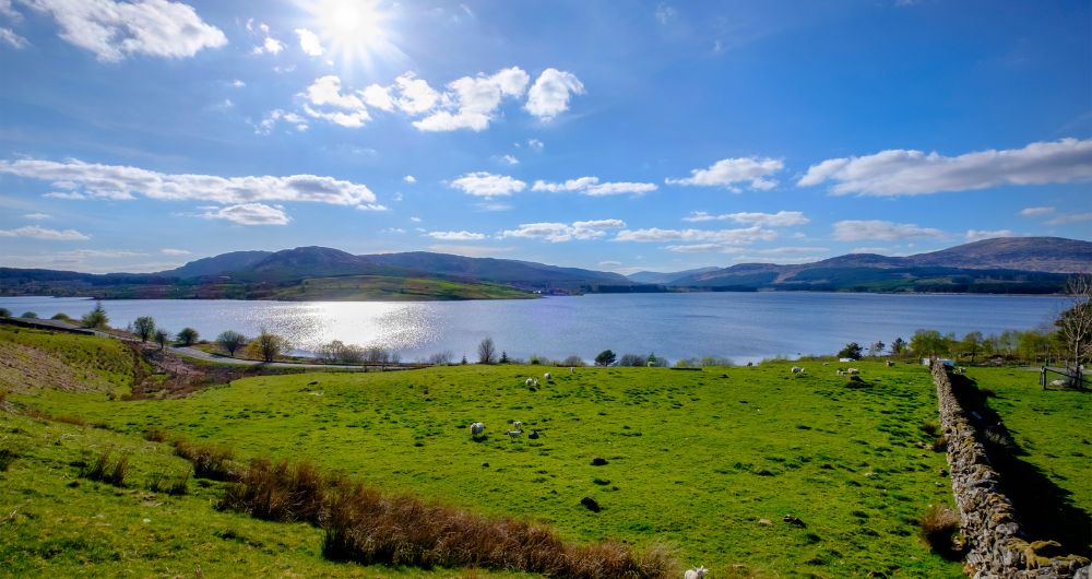 Clatteringshaws Loch in the Galloway Forest Park