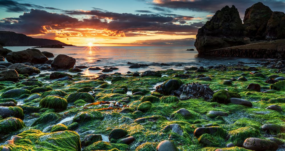 East Lothian Coastline, Pettico Wick St Abbs Head Peninsular