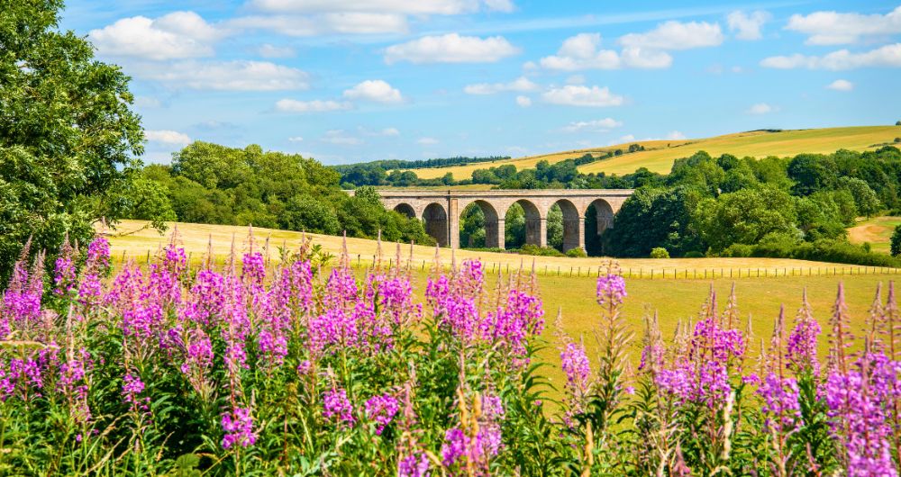 Roxburgh Viaduct, Scottish Borders