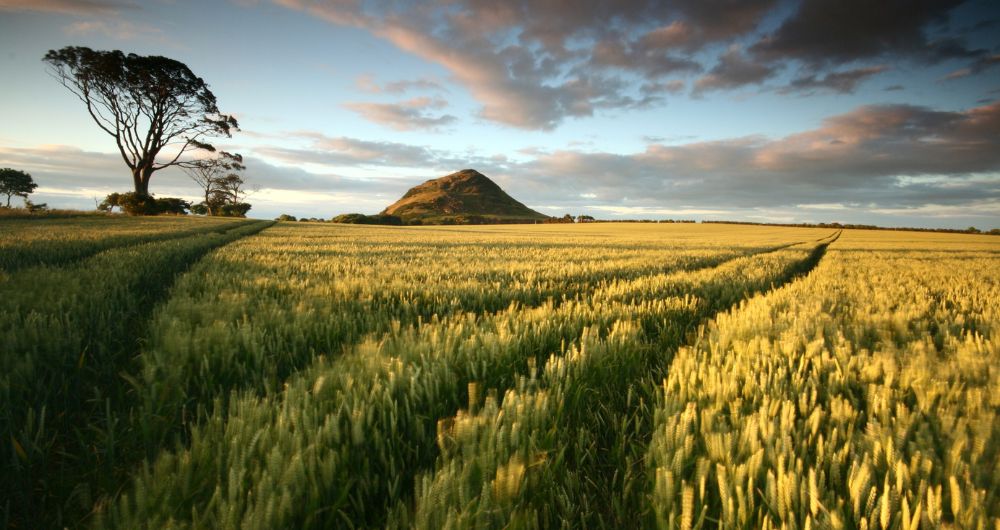 Towns, villages and countryside, The Law, North Berwick