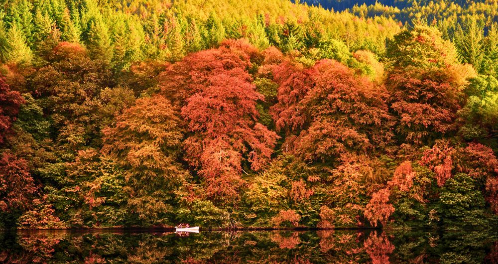 Autumn colours at loch Faskally in Pitlochry