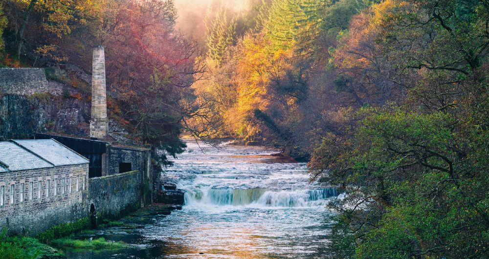 Buying agent in Lanark and New Lanark