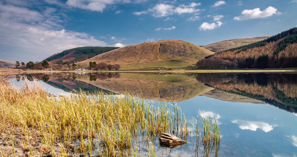Loch of the Lowes near Moffat, Scotland