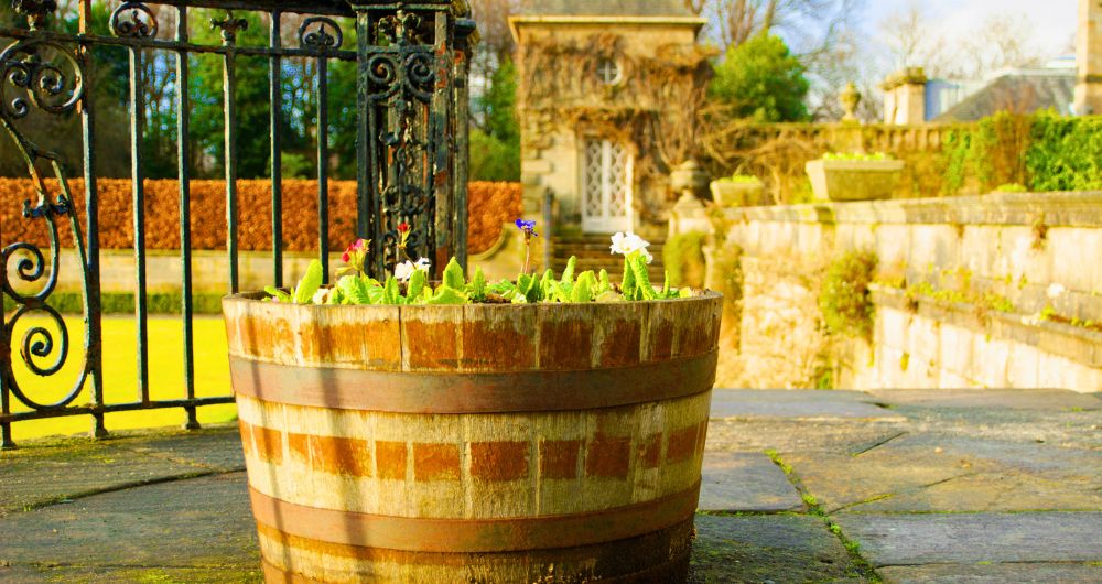 Lanarkshire property finders.