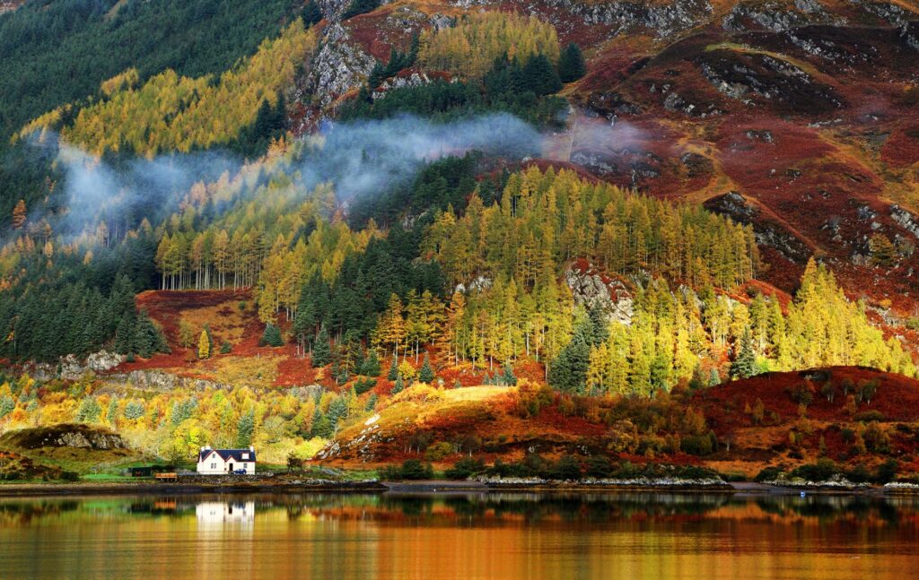 Highlands and Islands property, autumn colours