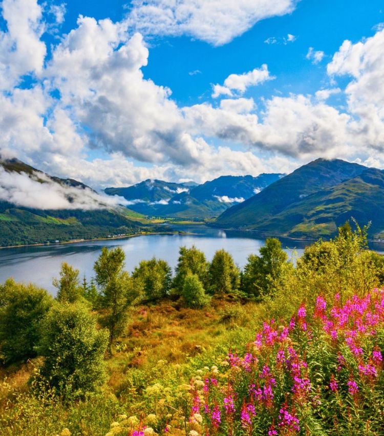 Scottish Highlands Property Finders